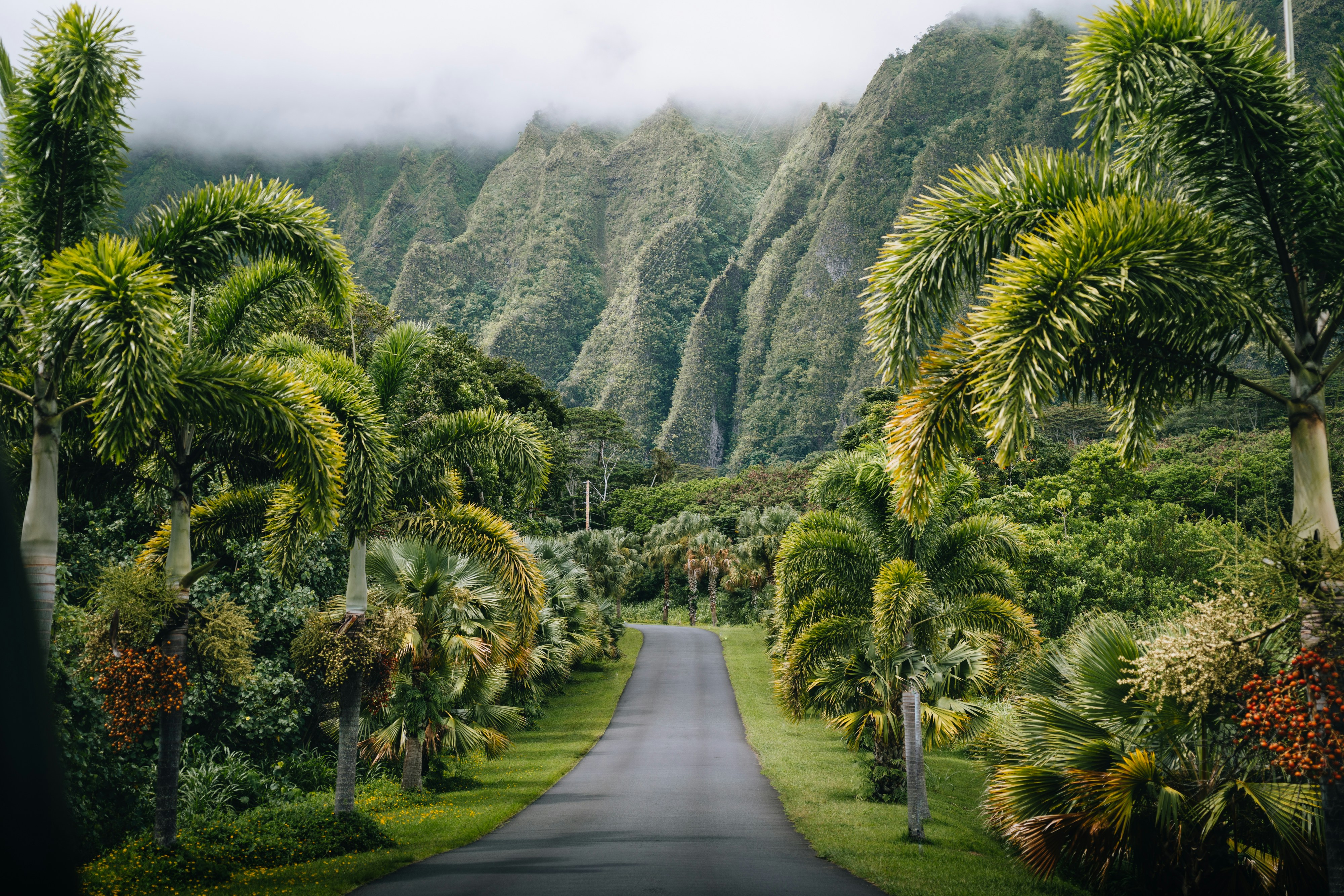 Kaneohe