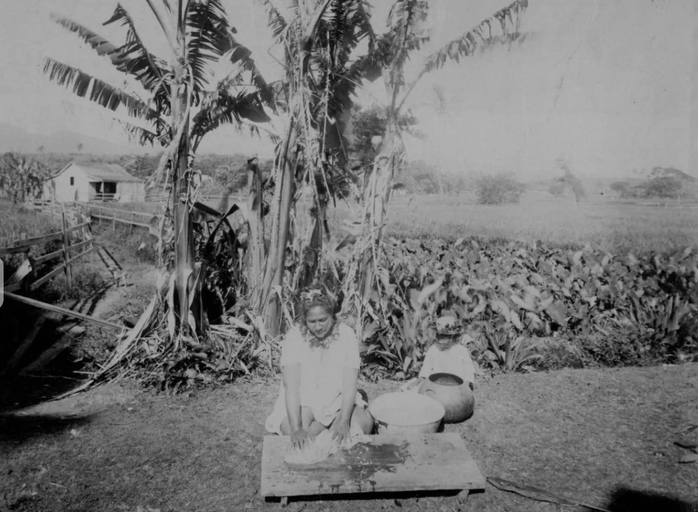 hawaiian women