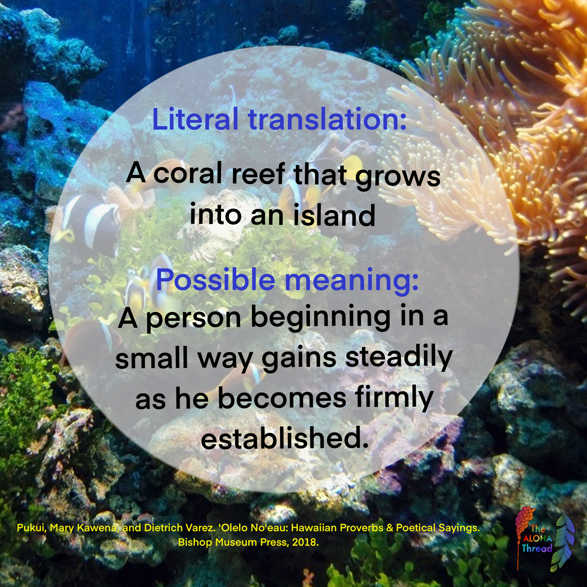 english translation