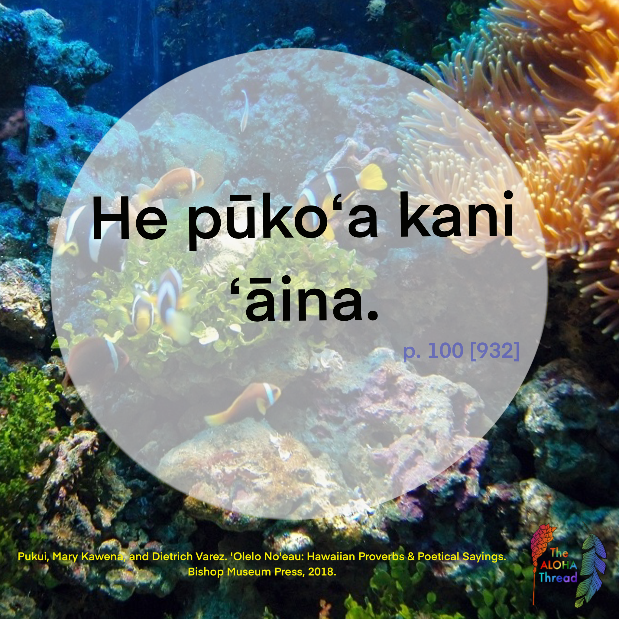 He puko'a kani 'aina