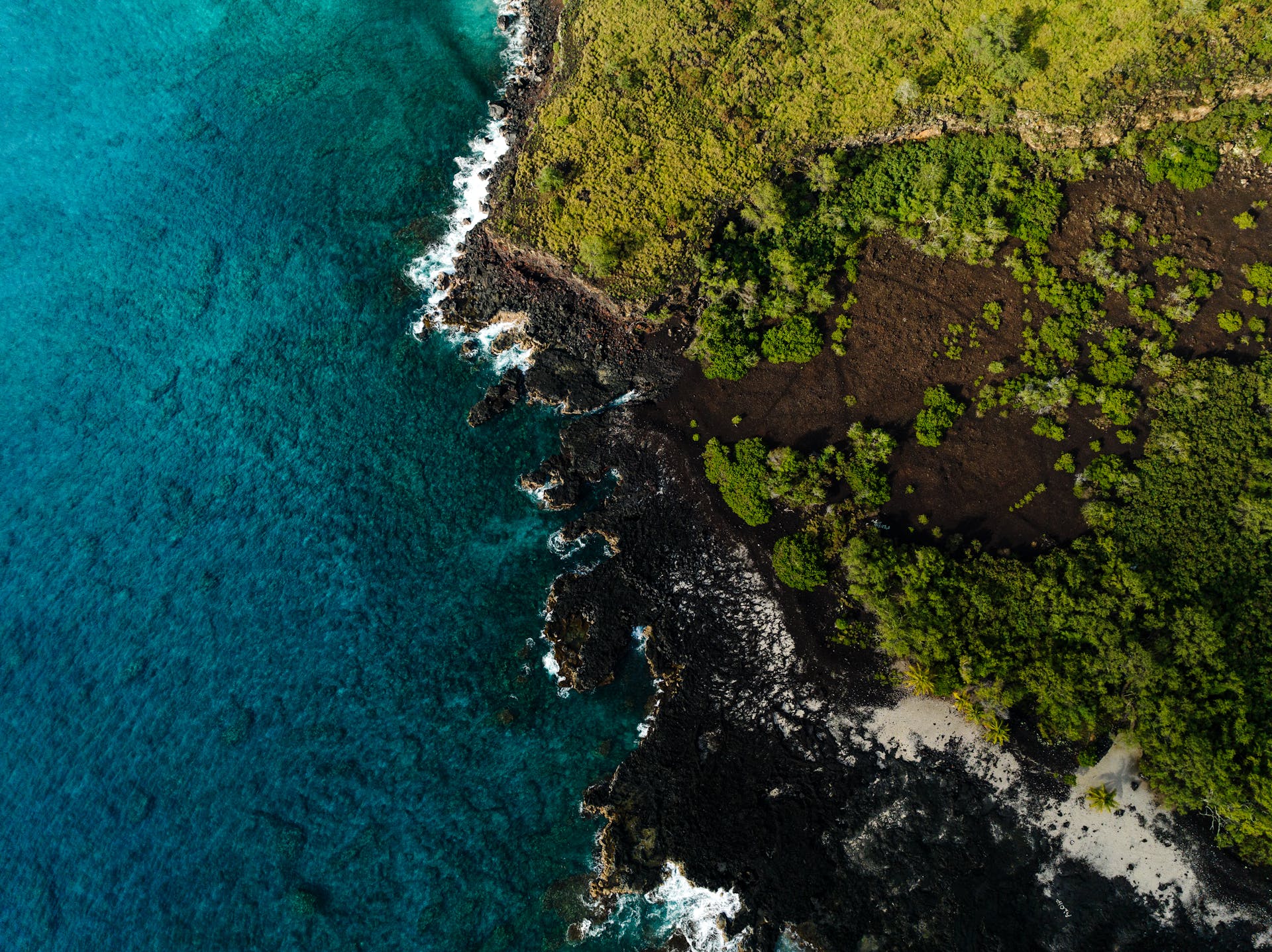 big island ocean shore