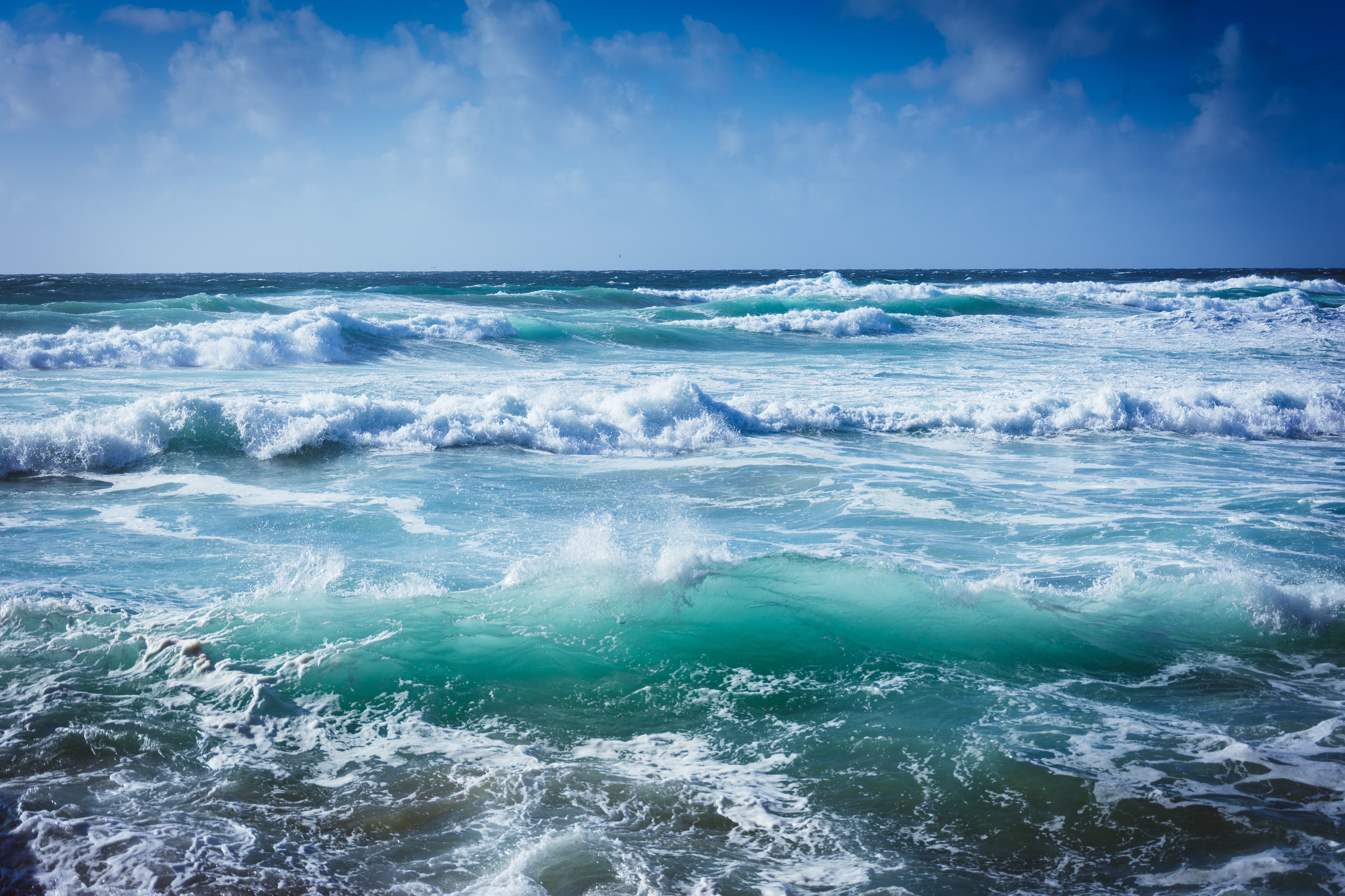 ocean shore