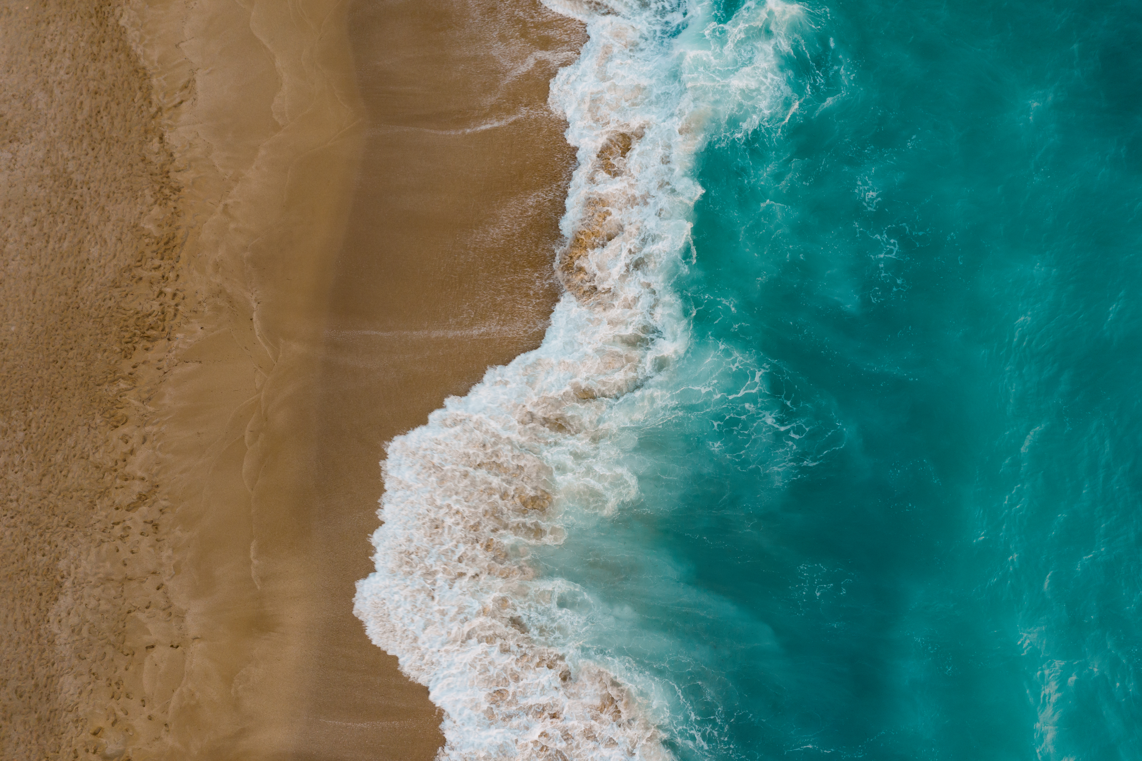 Hawaiian coastal landscape